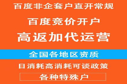 竞价代运营实战案例深度剖析